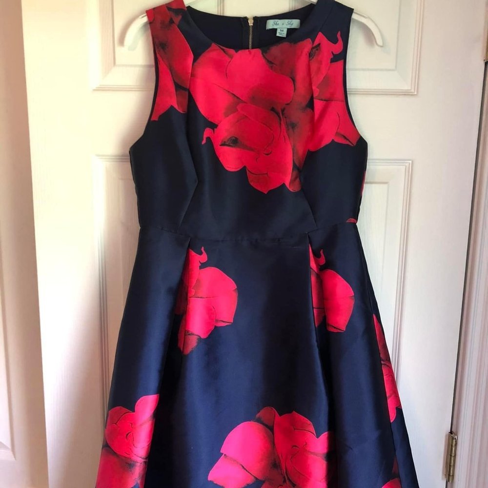 She + Sky Women's Dress. Size medium. Colors blue and pink.